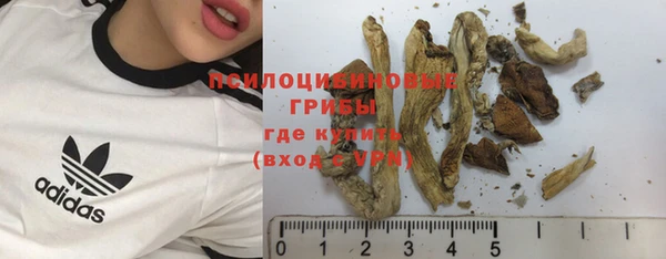 метадон Михайлов