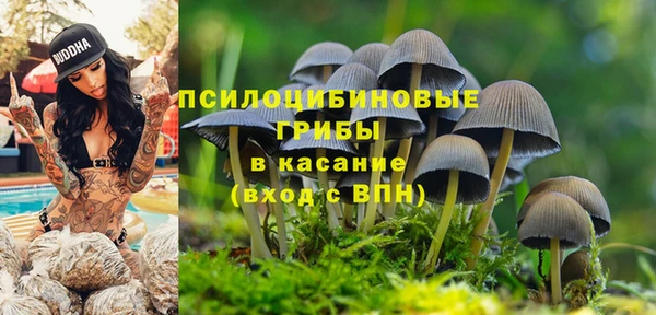 спайс Навашино